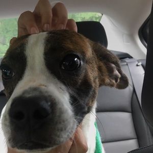 Meet your Posher, Brandonn